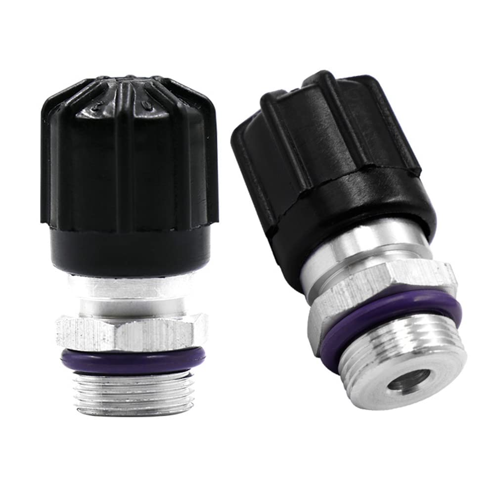Akozon Set 10 Cappucci Valvole Aria Condizionata Auto - Tappi Porta Di Ricarica CA In ABS, 5 Bassi (13mm) E 5 Alti (16mm), Universali - 3