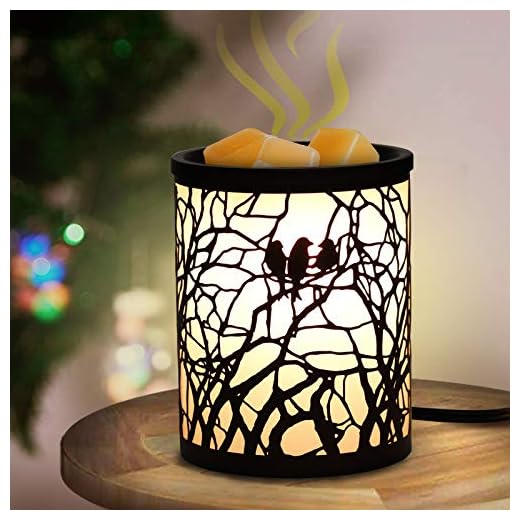 DGSCAK Wax Warmer for Scented Wax, 25W Wax Melt Warmer,Electric Home Fragrance Wax Warmer,Candle Warmer Suitable for Bedroom, Bathroom, Living Room, Study Room, Office,with 2 Edison Bulbs