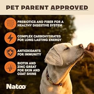 Natoo Dog Biscuits for Small Dogs  Puppies Crunchy Dog Treats Sweet Potato  Pumpkin Healthy Natural Dog Biscuits Rich in Omega 6 Prebiotics  Fibers Antioxidants for Immunity 8 Oz  Cucciolini Doodles Natoo dog biscuits for small dogs  puppies crunchy dog treats sweet potato  pumpkin healthy natural dog biscuits rich in omega 6 prebiotics  fibers antioxidants for immunity 8 oz   cucciolini doodles