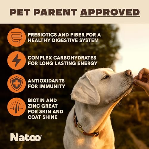 Natoo Dog Biscuits for Small Dogs  Puppies Crunchy Dog Treats Sweet Potato  Pumpkin Healthy Natural Dog Biscuits Rich in Omega 6 Prebiotics  Fibers Antioxidants for Immunity 8 Oz  Cucciolini Doodles Natoo dog biscuits for small dogs  puppies crunchy dog treats sweet potato  pumpkin healthy natural dog biscuits rich in omega 6 prebiotics  fibers antioxidants for immunity 8 oz   cucciolini doodles