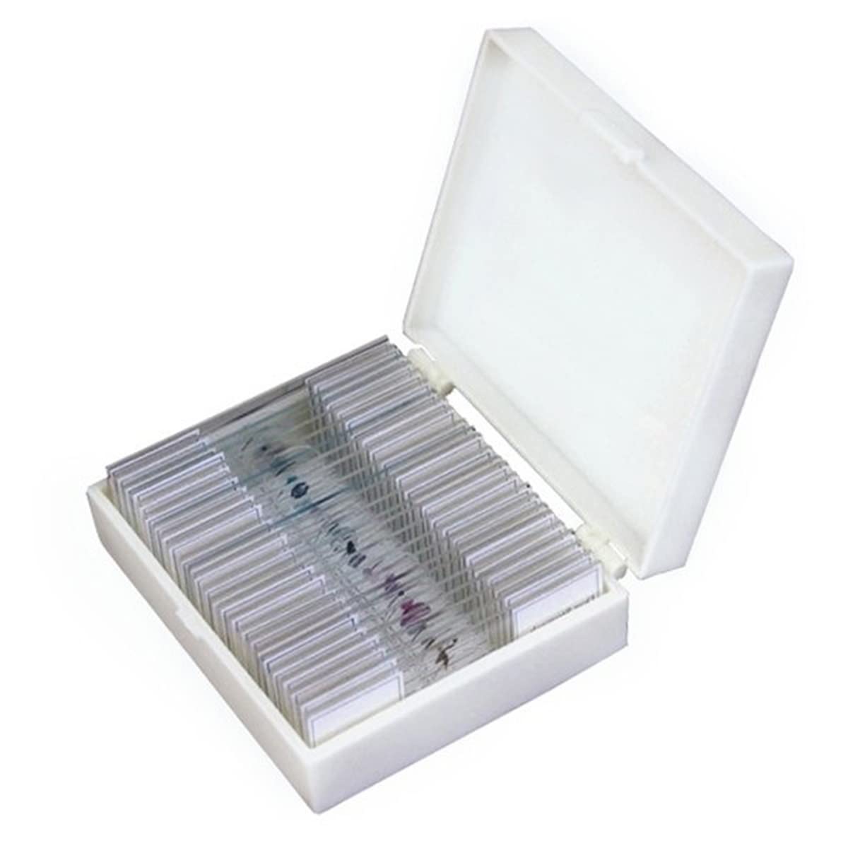 Kit de Accesorios para microscopios Diapositivas de microscopio preparadas de 25 Vidrio con Caja de plástico. Portaobjetos de microscopio