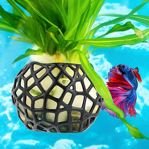 Aquarium Plant Holder, Fish Tank Plant Holder, Aquarium Planter Cup, Hanging Aquarium Planter Cups, For Live Aquarium Decor, Fish Tank Living Fish Shrimp(Black) #TOP1