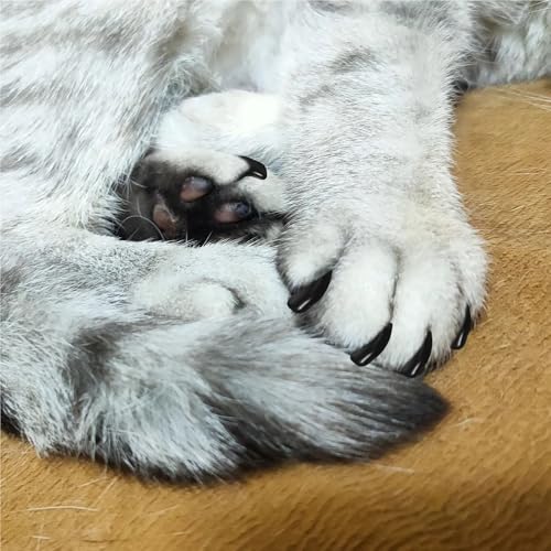 Tapas de silicona para uñas de gato para un salón libre de marcas 3