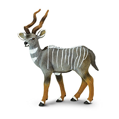 Wild Safari Lesser Kudu