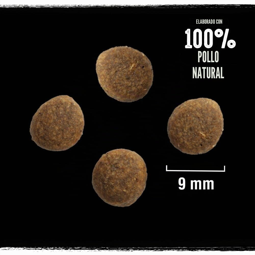 Crave Alimento seco para Adultos con Pavo y Pollo, 7 kg (1 Bolsa) – Comida para Gatos Premium Seca con Alto Contenido de proteínas y sin Cereales – Fabricado con Pollo 100% Natural