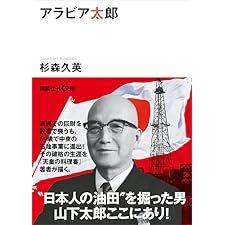 アラビア太郎 (講談社＋α文庫)の表紙