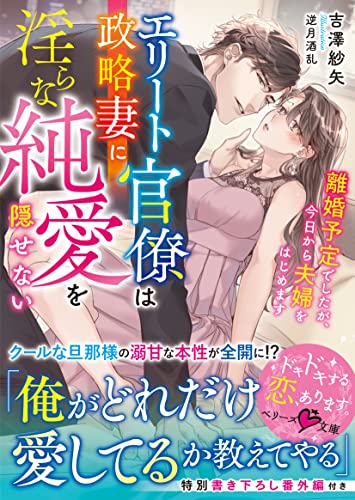 エリート官僚は政略妻に淫らな純愛を隠せない~離婚予定でしたが、今日から夫婦をはじめます~ (ベリーズ文庫)
