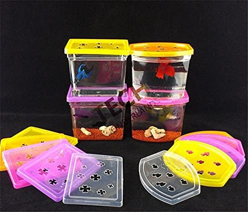 Fish Tank Colorful Betta House Rectangle Fighting Betta Fish Tank Aquarium Living Room Office Desktop Housewarming Gift Aquarium Tank (Color : Color, Size : Rectangle)