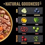 Cesar Natural Goodness Premium Hunde Nassfutter in der Schale 4 Varietäten in Sauce in Terrine Megapack 24x100g