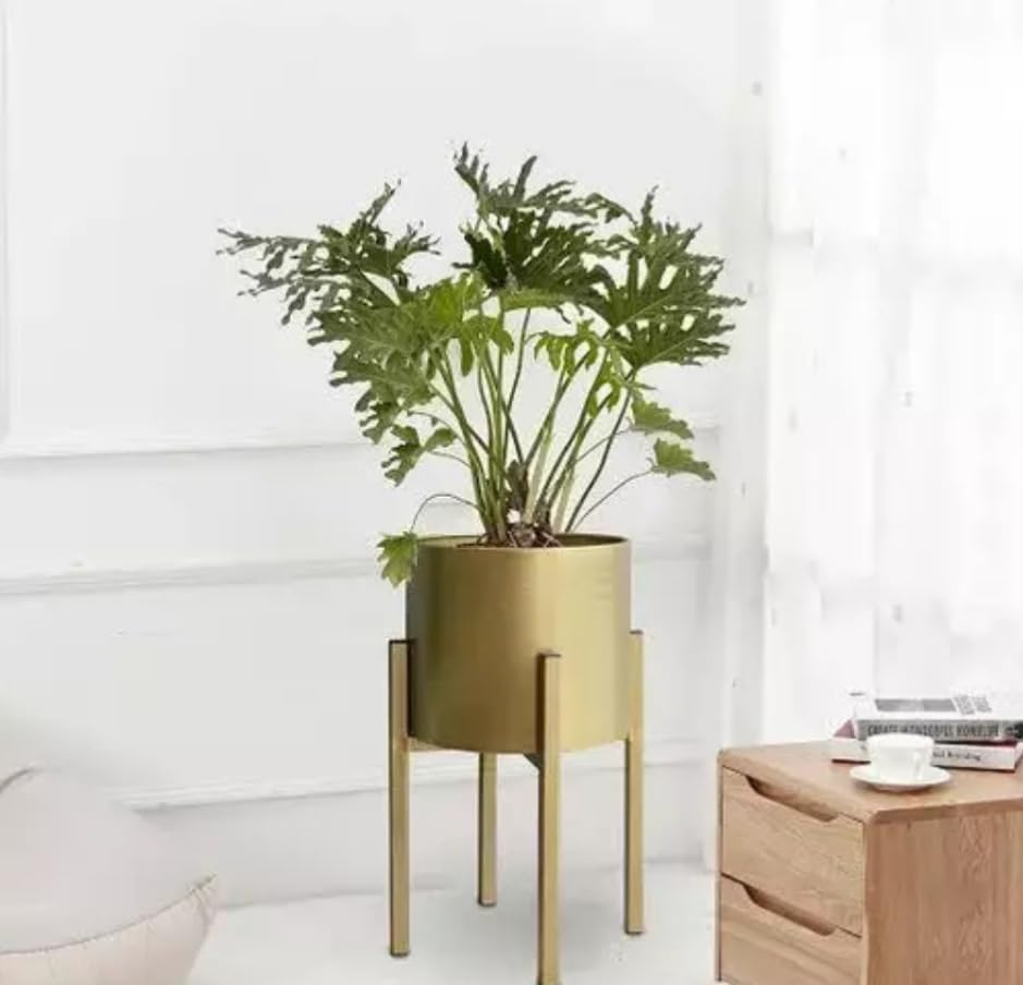 Neumark Iron Indoor Out Door Garden Home Decor Flower Planter Pot Stand with Iron Pot Size- 17x30 cm (Golden) (B08189DNZN) Amazon Price History, Amazon Price Tracker