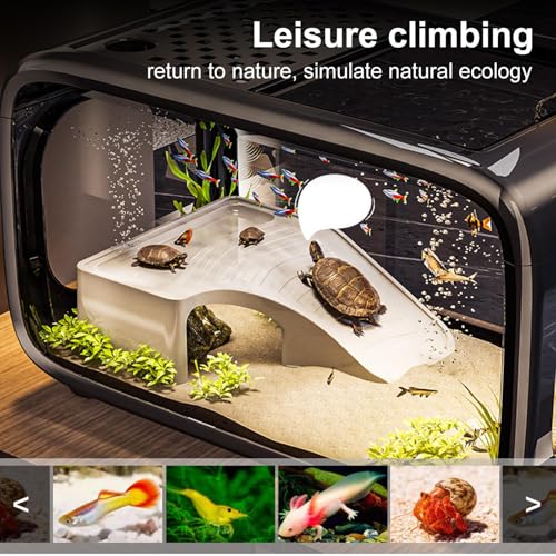 Aquarium de bureau en acrylique avec trou d'alimentation pour tortues