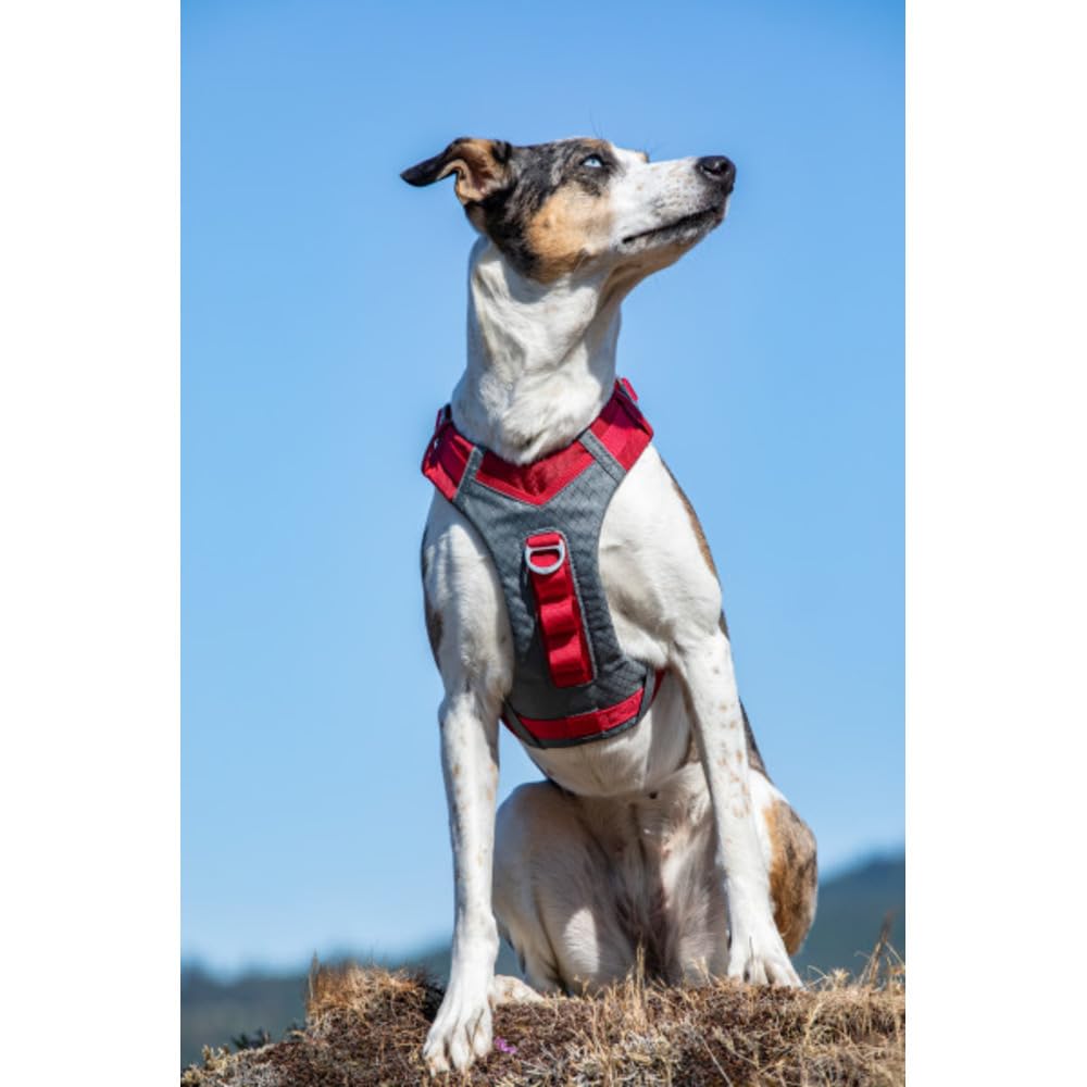 Kurgo Journey Air Hundegeschirr, XL, Rot | Gepolstertes Bruststück, Leichtes Ripstop, Atmungsaktiv, Reflektierend