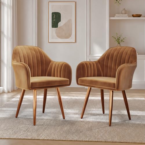 Image of Vergo Plush Velvet Dining Chair, Cushion Seat, Wooden Frame, Metal Legs, Premium Accent Chair for Living Room, Bedroom, Dining Room, Cafe & Restaurant (Set of 2, Light Brown)