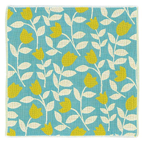 {  ^I 3dK[[ nJ` ijasmyjPocchi | K[[nJ` ^InJ` j v`Mtg ސEj  Ԃ A fB[X LbY Mtg v[g K[[ xr[ 킢 q nJ`^I ͂