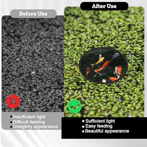 Giantree 10 Stück Schwimmende Pflanzenringe, 5 Größen Futterring Aquarium Teich Rings, Schaumstoff Schwimmpflanzenkorral Futterringe zum Stelle Zu Halten oder Trennen Schwimmende Pflanzen(Schwarz)
