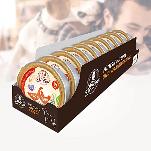 Dr. Link® SUPER Natural 10x125g Premium-Nassfutter für Hunde: Gans und Huhn mit Topinambur, Blattspinat und Acaibeeren | getreidefrei | Superfoods