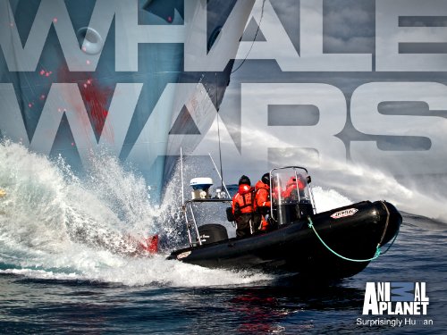 Whale Wars Season 4