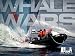 Whale Wars Season 4