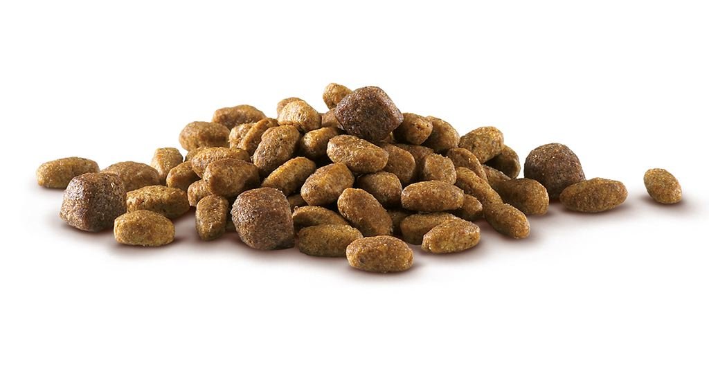Purina ONE Mini <10kg pienso perro pequeño Sensible Salmón 6x1,5 kg