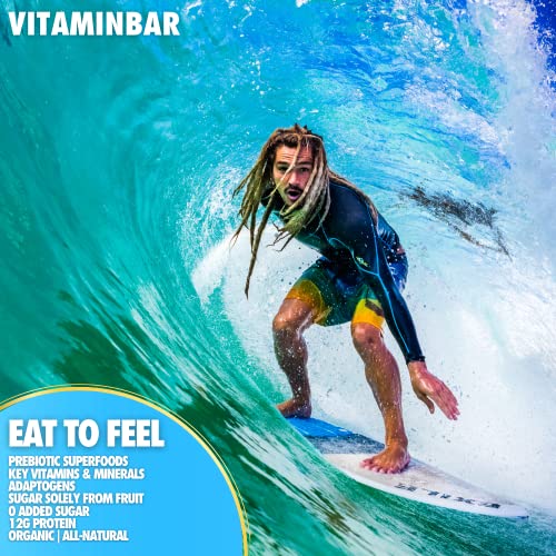 Vitaminbar Nutrition Bar - Energy Bar - Vitamin Infused - Prebiotic Superfoods - Cordyceps - 12G Protein - All Natural - Zero Bs - Blueberry (12 Bars) #TOP6