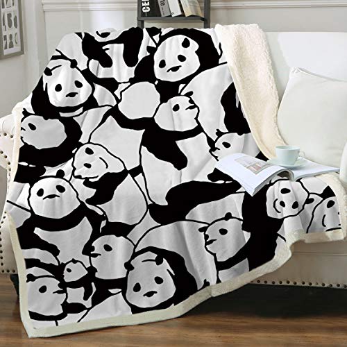 plush bear blanket