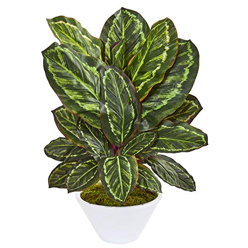 Nearly Natural Maranta - Jarrón Artificial Blanco de Seda de 66 cm, Color Verde