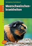 Meerschweinchenkrankheiten (Patient Tier) Meerschweinchenkrankheiten (Patient Tier)