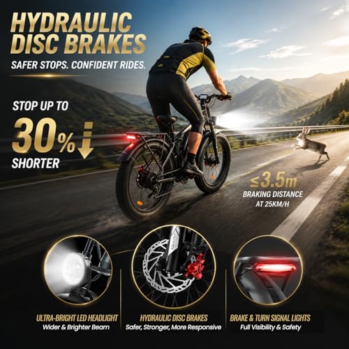fregogo AWD Electric Bike 6000W Peak