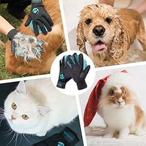 COOLJOB Patented Pet Grooming Gloves with Web, Reusable Washable Cleaning Brush Massage Hair Remover for Short Long Haired Dog Cat Horse Animal, Washing Bathing Shedding Supplies, Large, Blue Black COOLJOB Patented Pet Grooming Gloves with Web, Reusable Washable Cleaning Brush Massage Hair Remover for Short Long Haired Dog Cat Horse Animal, Washing Bathing Shedding Supplies, Large, Blue Black