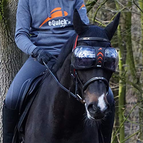 EQUICK Lunettes de Protection Chevaux eVysor pour Balade Randonnée