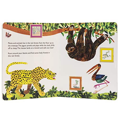 World of Eric Carle: First Look and Find Book & Blocks