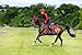 LeMieux Suede Close Contact Square Saddle Pad - English Saddle Pads for Horses - Equestrian Riding Equipment and Accessories - Chilli - Large