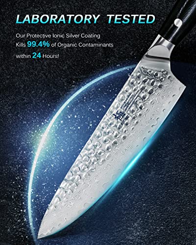 Kyoku Gin Series Chef Knife, 8" All Purpose Kitchen Knife, Japanese Vg10 Damascus Stainless Steel Knife With Silver Ion Blade G10 Handle Mosaic Pin, Professional Knife For Meat Fruit Vegetables #TOP2