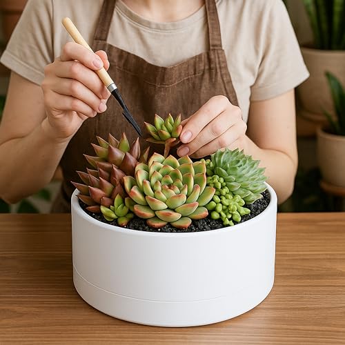 Pot de bonsaï rond en plastique 25 cm blanc avec drainage D'vine Dev - 4