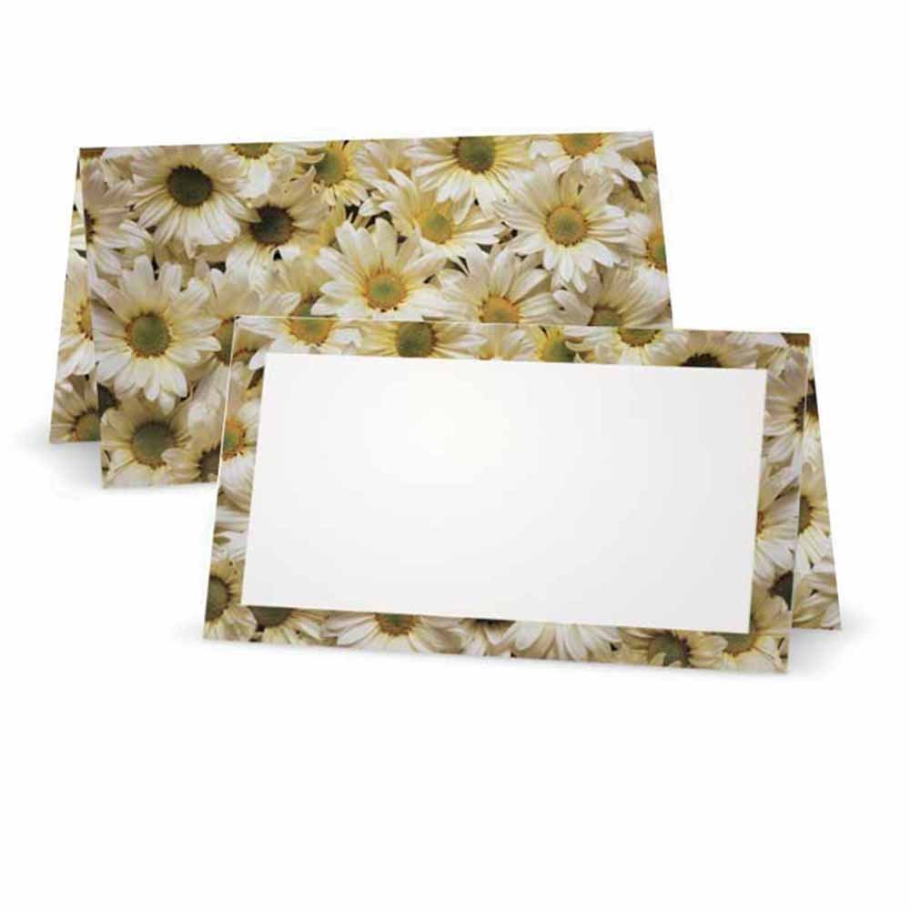Stationery Creations Daisies Place Cards - Flat or Tent Style - Party Supplies - Table Seat Placement - 10 or 50 Pack TENT DS-PC-TENT-50PACK