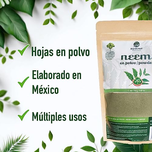 Salud, Guild Imagen adicional