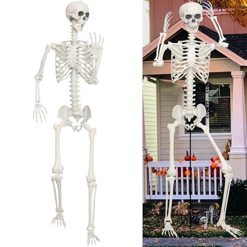 1PC 7.9ft/240cm Halloween Giant Skeleton Full Body Realistic Human Bones with Adjustable Joints for Indoor Outdoor Halloween Decor