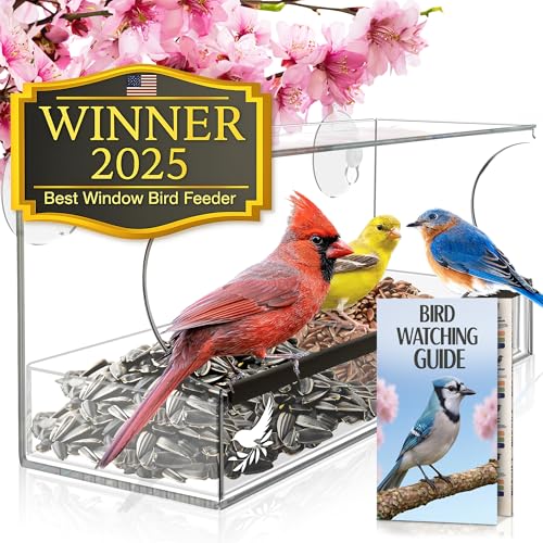 Window Bird Feeder by Nature's Hangout - Award-Winning Transparent Acrylic Bird Feeders for Outdoors, No Assembly, Strongest Suction Cups, Birds Watching for Cats, Easy-to-Clean Birdhouse Feeder