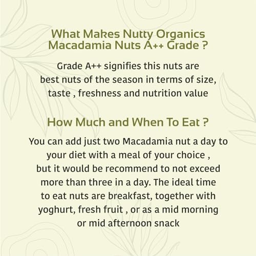 Image of NUTTY ORGANICS Macadamia Nuts - 250 GM | (Grade A ++ Nuts, Premium Jumbo Size)