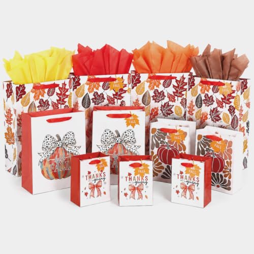 Ctosree 72 Pcs 24 Sets Assorted Sizes Fall Gift Bags with Tissue Paper