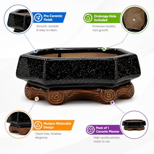 Image of Xtore Refined Rustic Ceramic Bonsai Planter Pot for Indoor & Tabletop Decor | Handcrafted Wide Bowl with Wooden Base Stand for Succulents, Zen Gardens & Home Styling (Pack of 1,Planter Only)