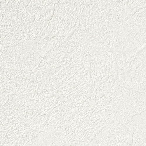 SP2574 iFSP9744j TQc SP ǎ (NX) ЂȂ ̂薳 y1m×z