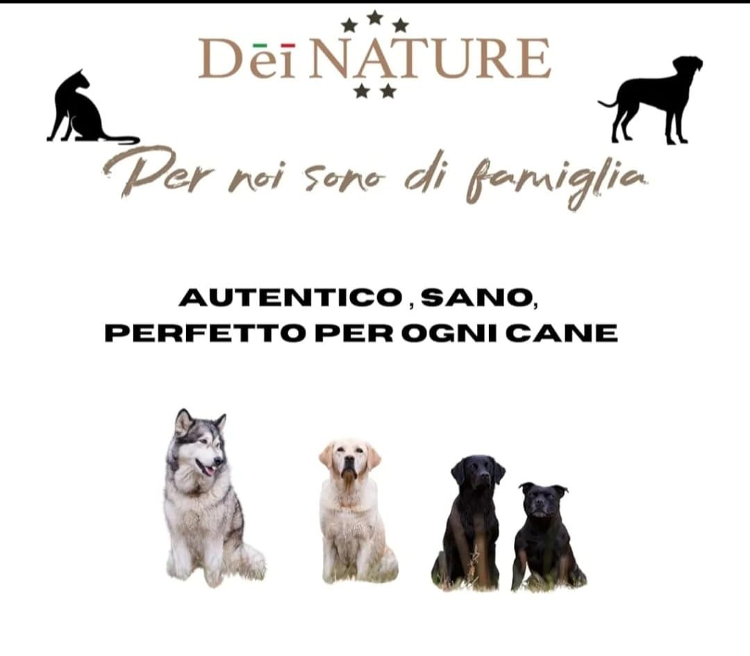 Orecchie di Bovino Essiccate, CONFEZIONE DA 12 UNITÀ Snack Naturale di Manzo per Cani, adatto dieta Barf