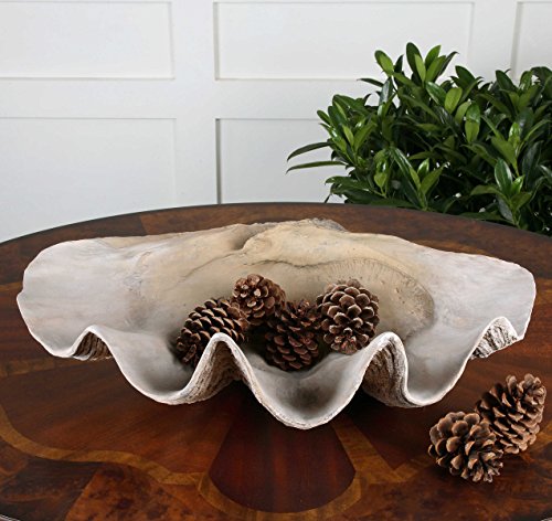 Vhomes Lights Shell Bowl the Clam Collection Decorative Bowls & Trays