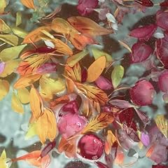 ���Ԃ�A�� / �Ȃ�����