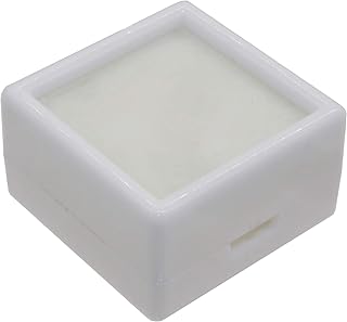 オーディオファン プラケース スポンジ入り キズ防止 保管ケース 小物入れ 2.9cm × 2.9cm ホワイト 1個