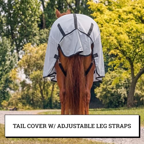 Image of Horse Fly Sheet with Attached Neck Cover & Tail Flap | UV Protection Mesh Horse Blanket, Full Body Bug & Sun Shield, Buckles, Belly Wrap & Gussets for Spring Summer Riding Rug (Silver, 74 inch)