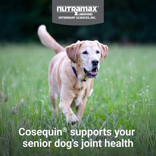 Nutramax Cosequin Dog Joint Supplement for Senior Dogs, Soft Chews, 120ct - image 2