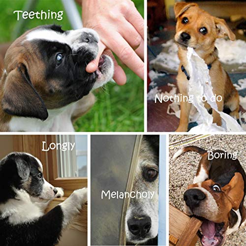 BUIBIIU Dog/Puppy Teething Toys, Assorted Chew Toys, 6 ct - Image 6