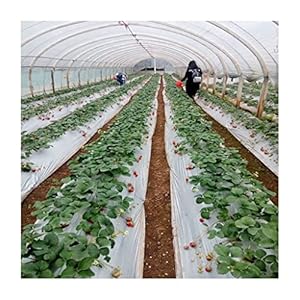 JOSUR 10 m Mulchfolie für Landwirtschaft